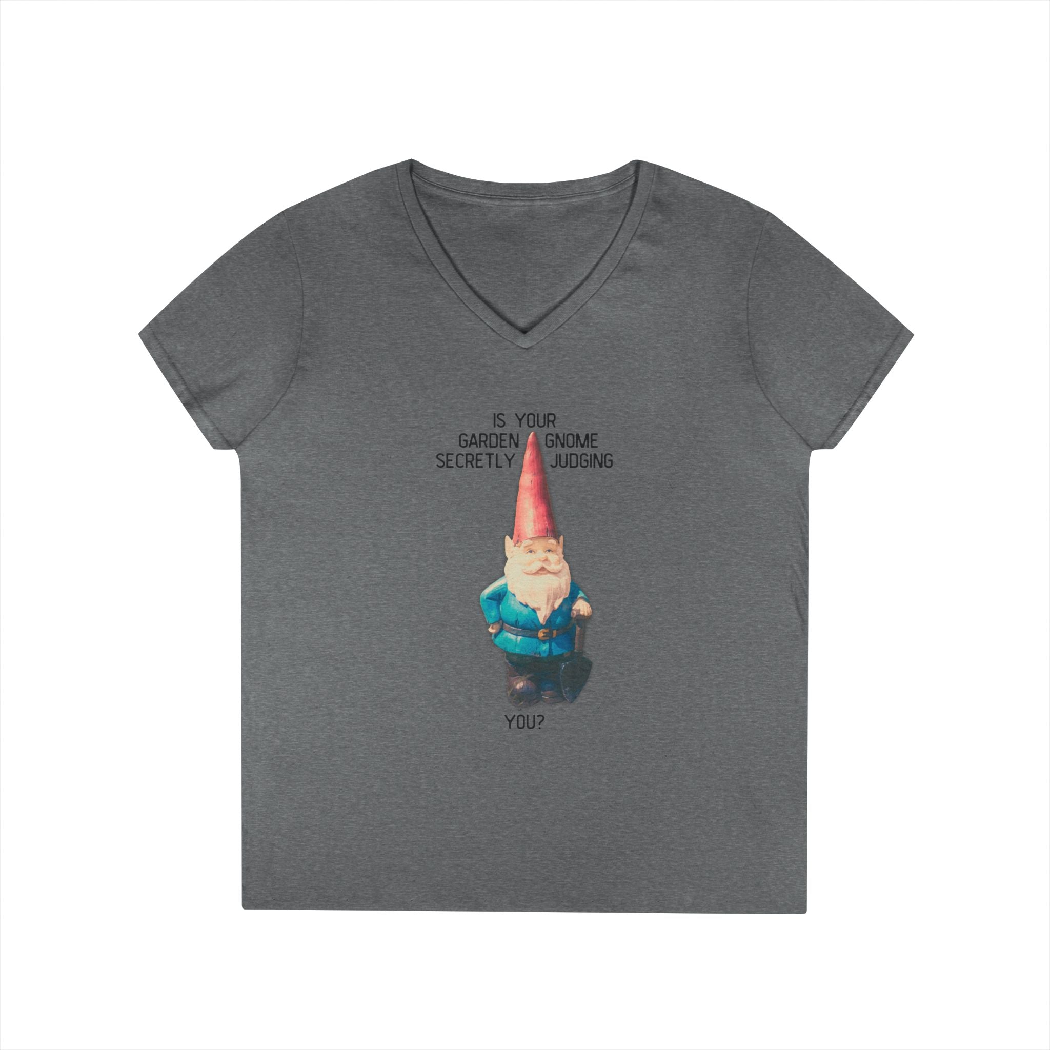 Ladies' V-Neck T-Shirt