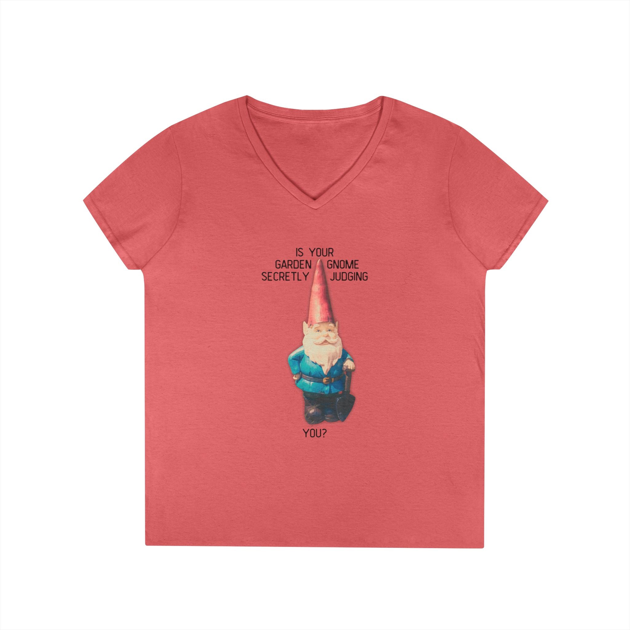 Ladies' V-Neck T-Shirt